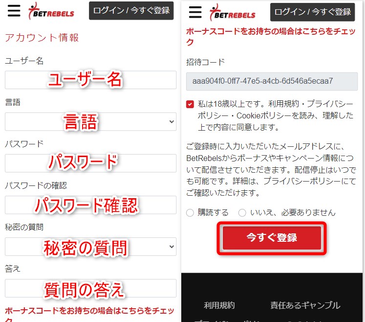 ベットレベルズの登録でアカウント情報を入力する