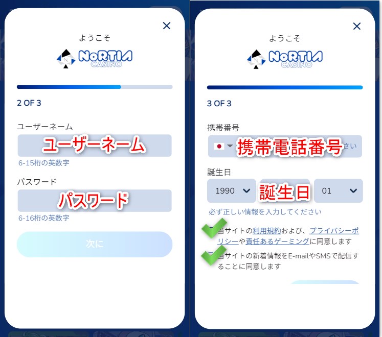 ノルティアカジノの登録でユーザーネームや携帯電話番号を入力する
