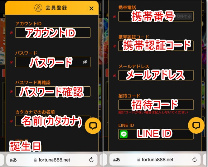フォルトゥナカジノの新規登録でメールアドレスやパスワードなどの情報を入力する