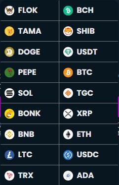 メガダイスの入金通貨一覧