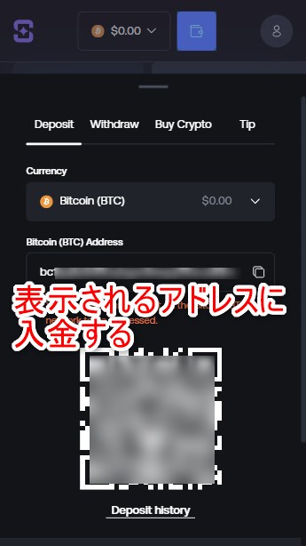 シャッフルカジノの入金で表示されたアドレスを確認する