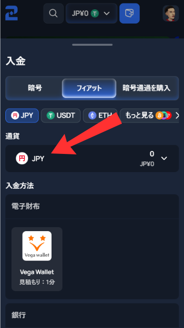 ツーアップカジノに日本円で入金する際にフィアット通貨を選択